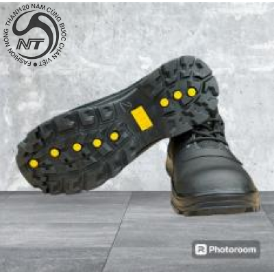 GIÀY BHLĐ NTT: D01